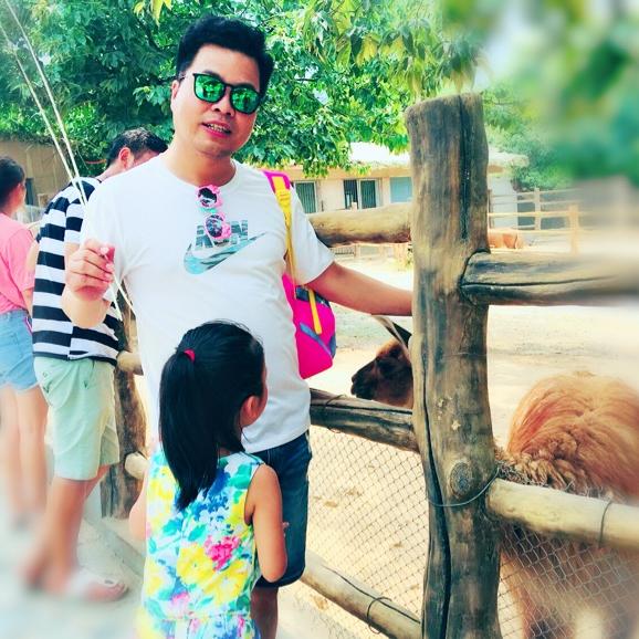 土堆里的无名草