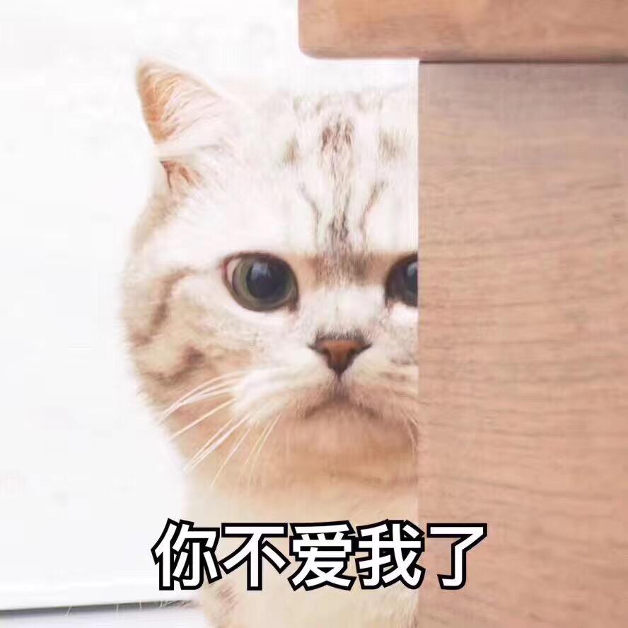 （靓仔）