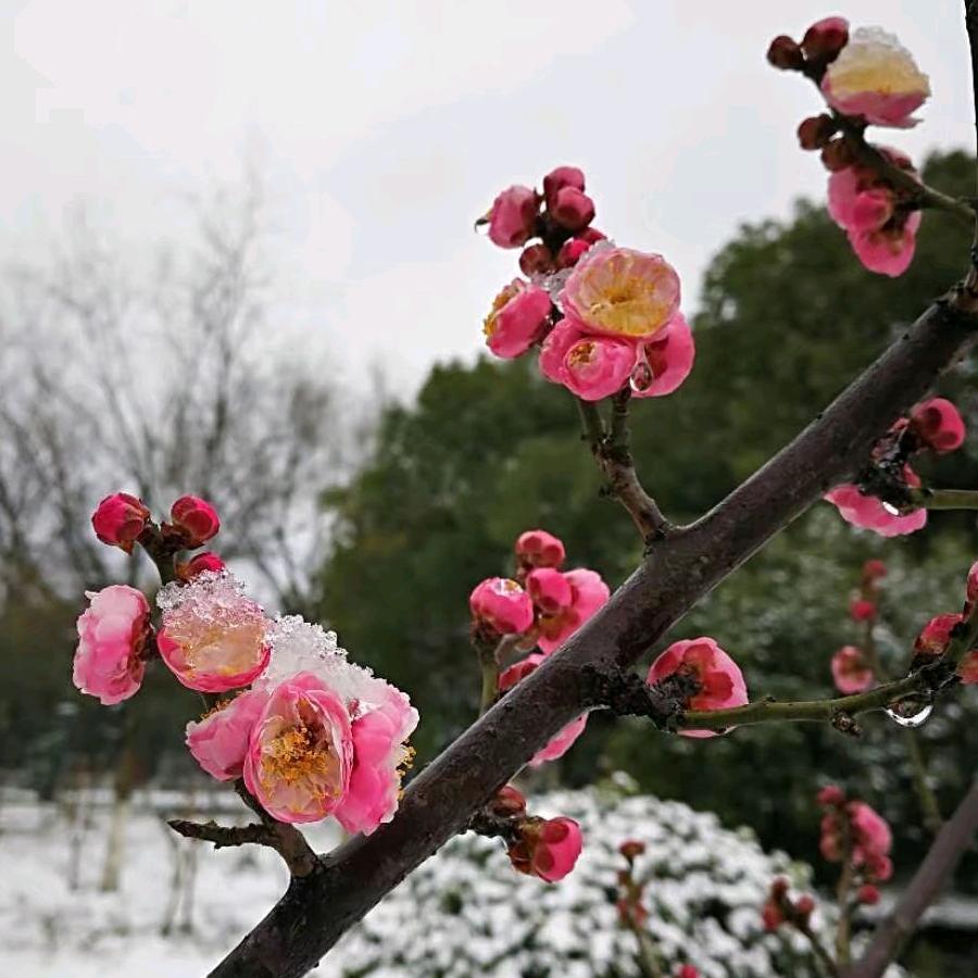 彩虹
