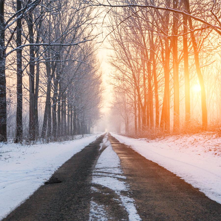 愿生活温柔对待