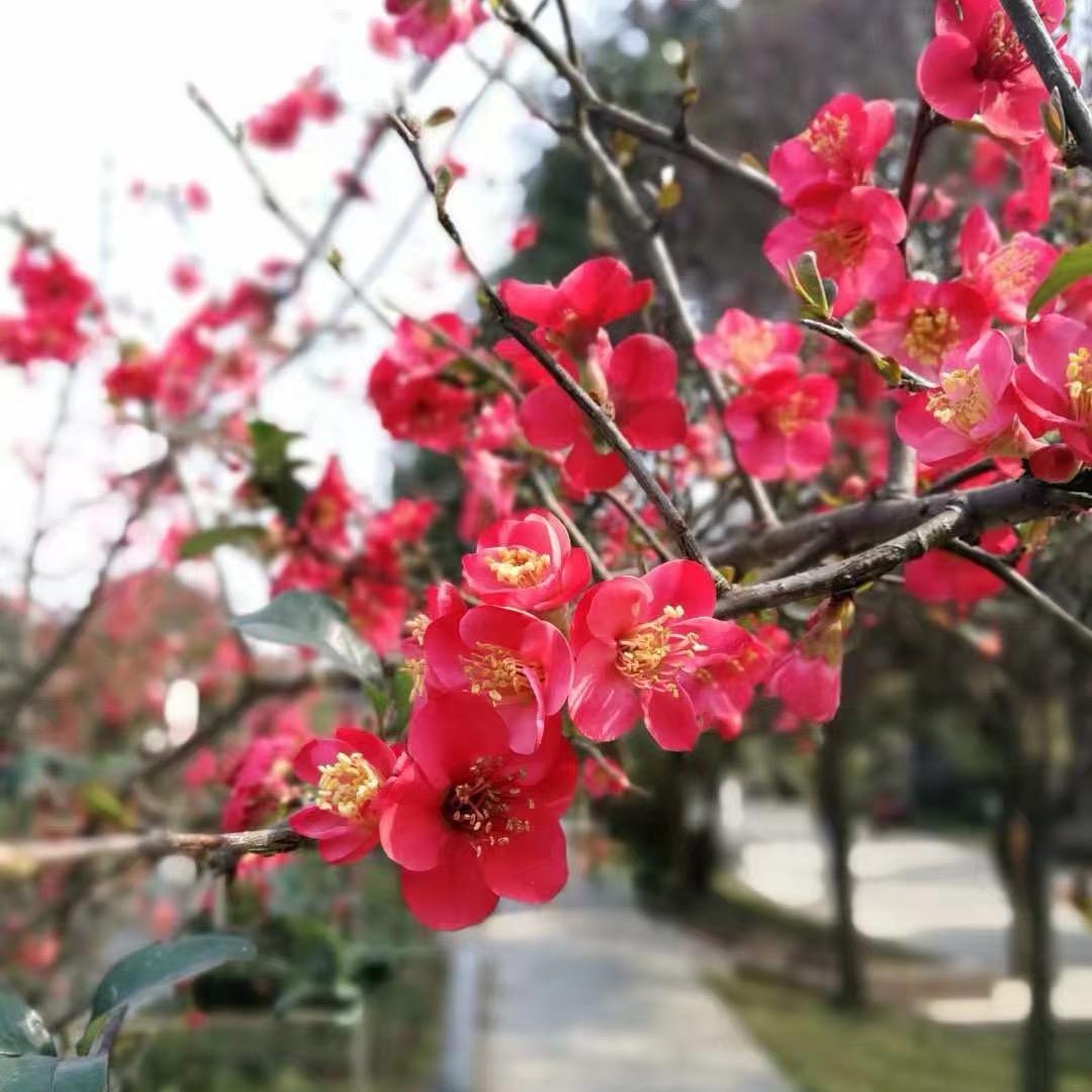 曾 姐