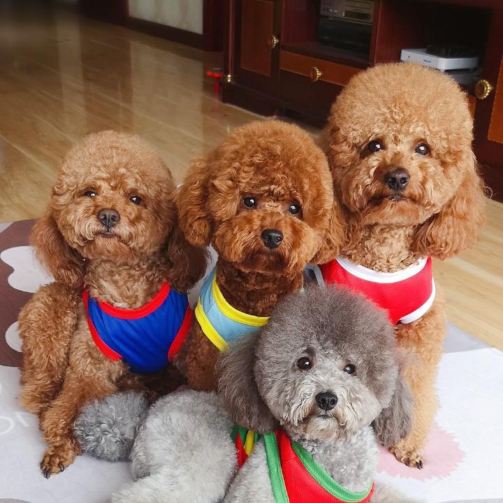 Mao乐琪
