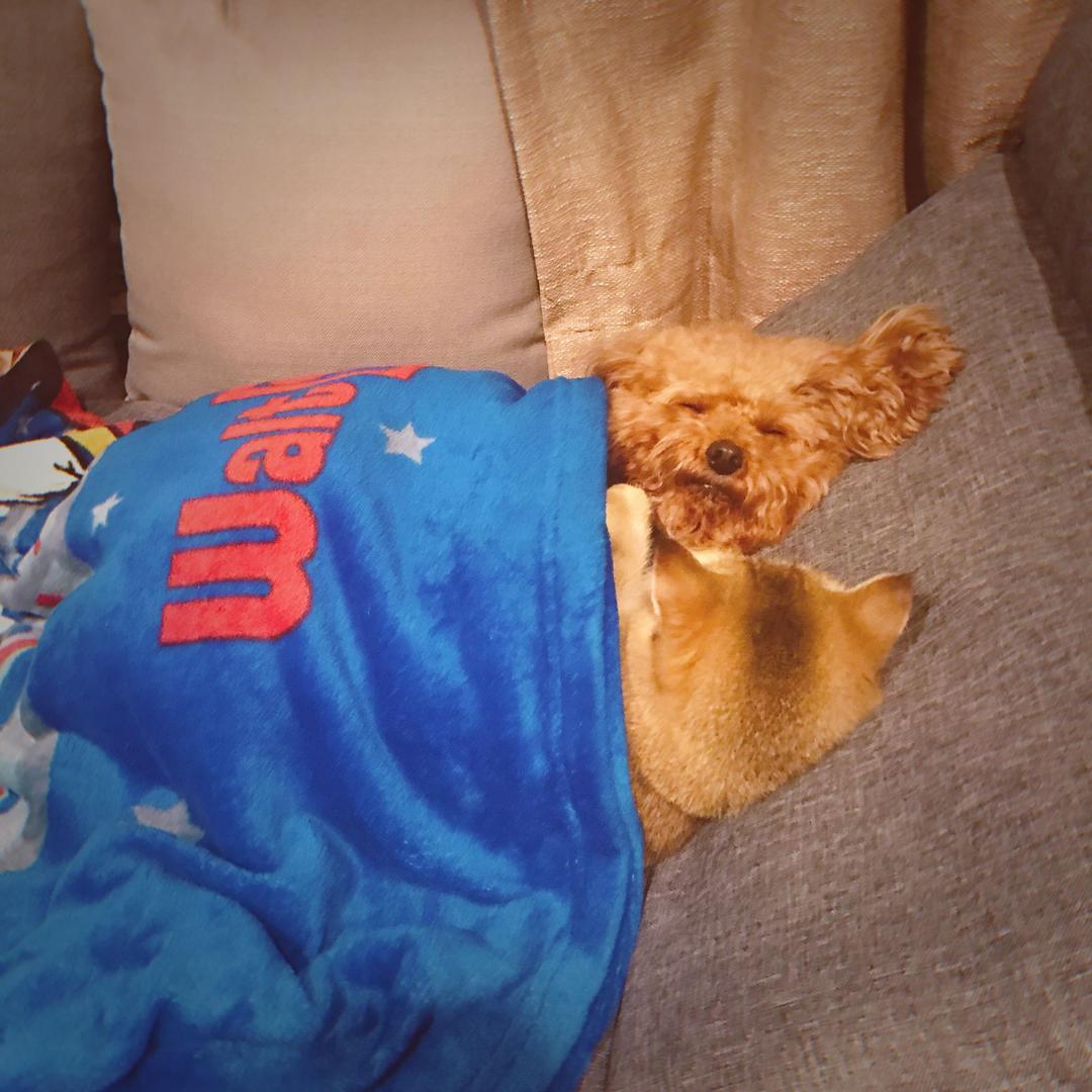 耙耳朵和爆米花