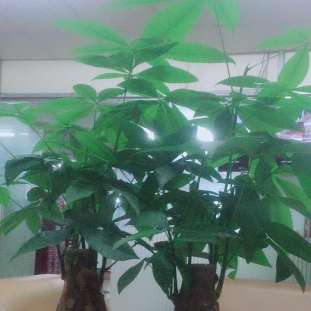 @铠宇行