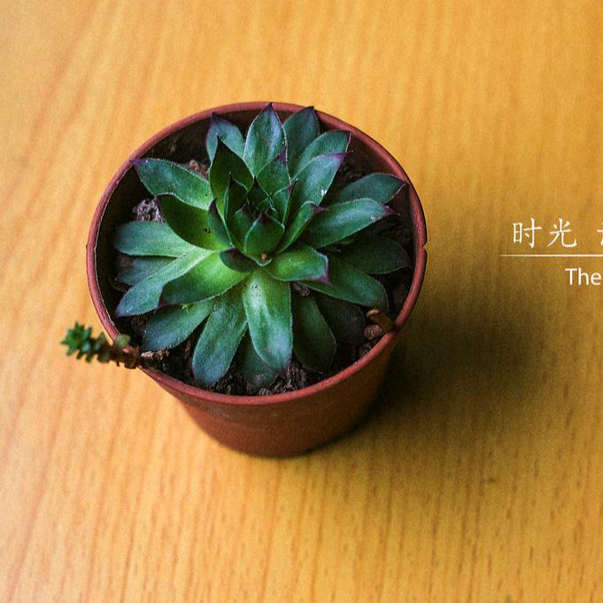 泉水