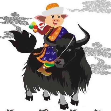 藏域天音文化