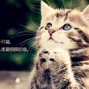 七彩城 海澜优选