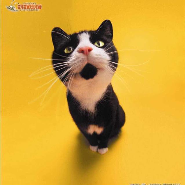若琳🐈