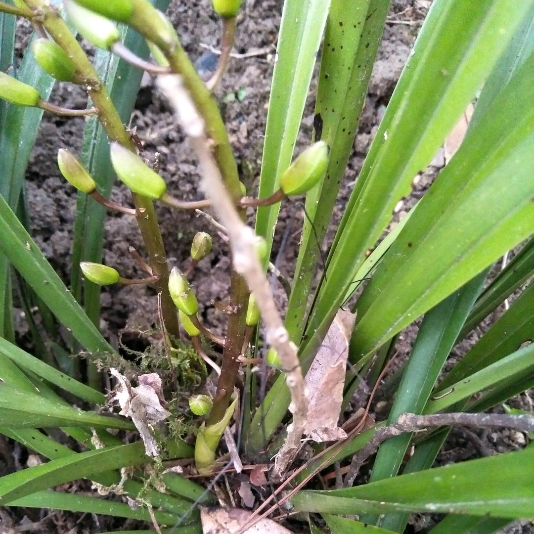 来自辛苦的女人，那英