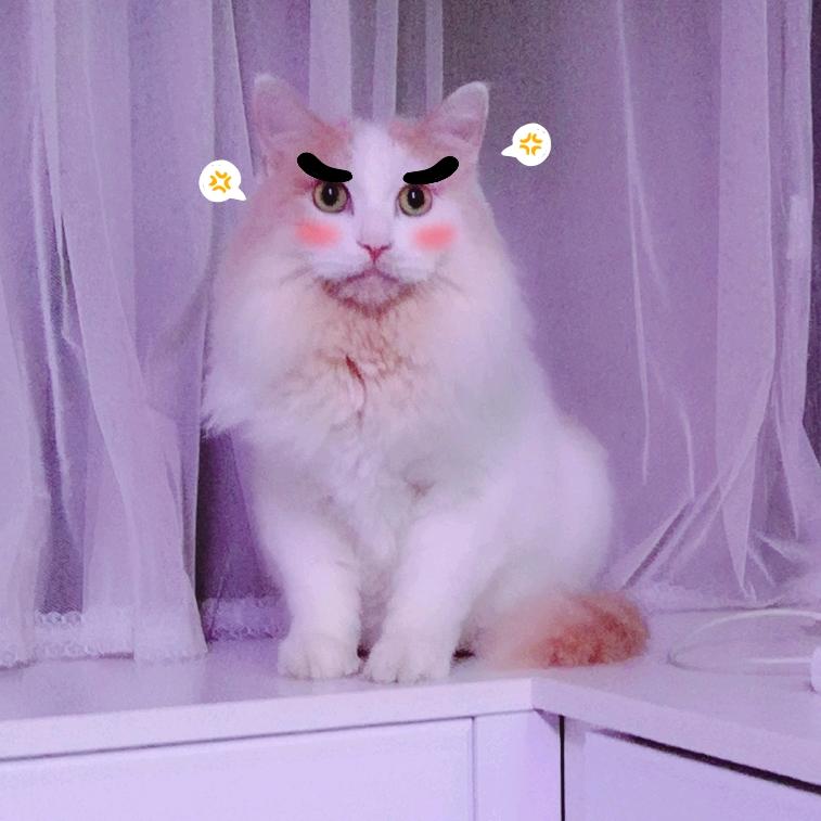 长安