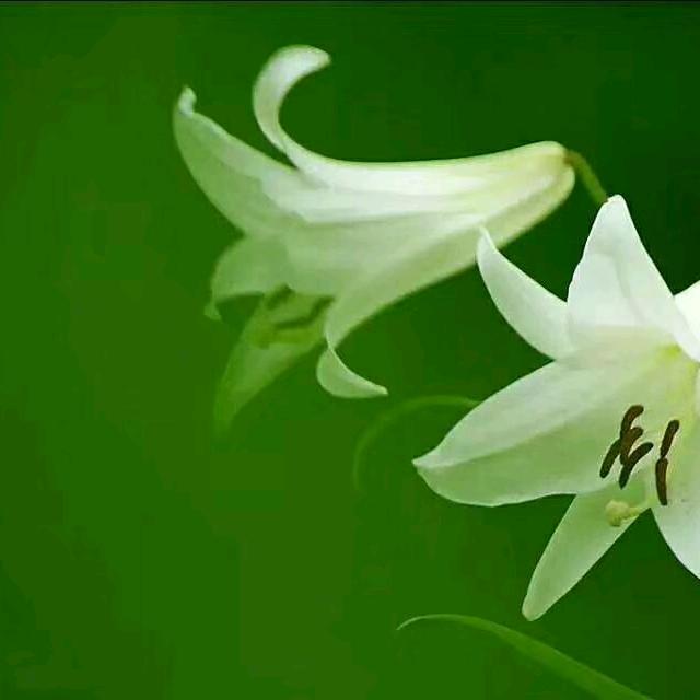 明天会更好✊✊✊✊