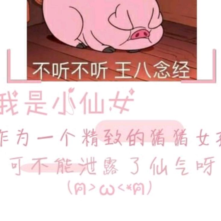小红妹👫