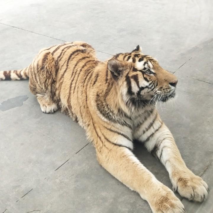 孤守一座城
