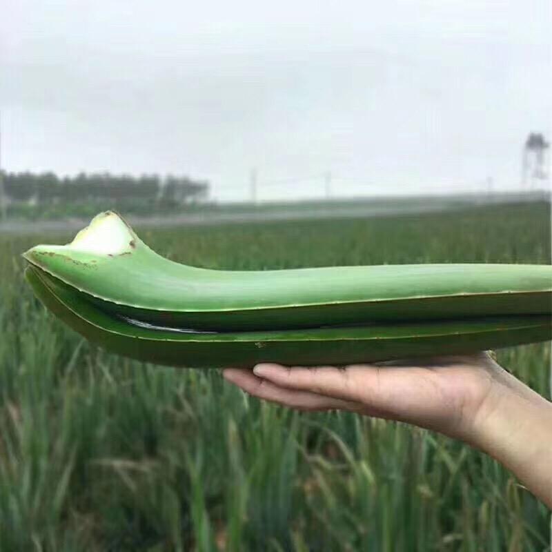 周口川汇荟植妍坊化妆品批发部