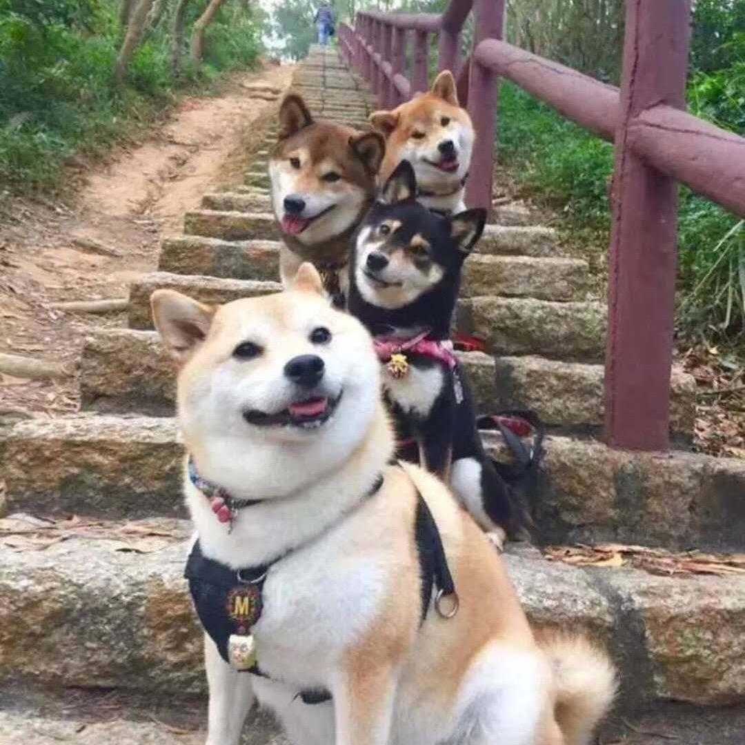 啊叔