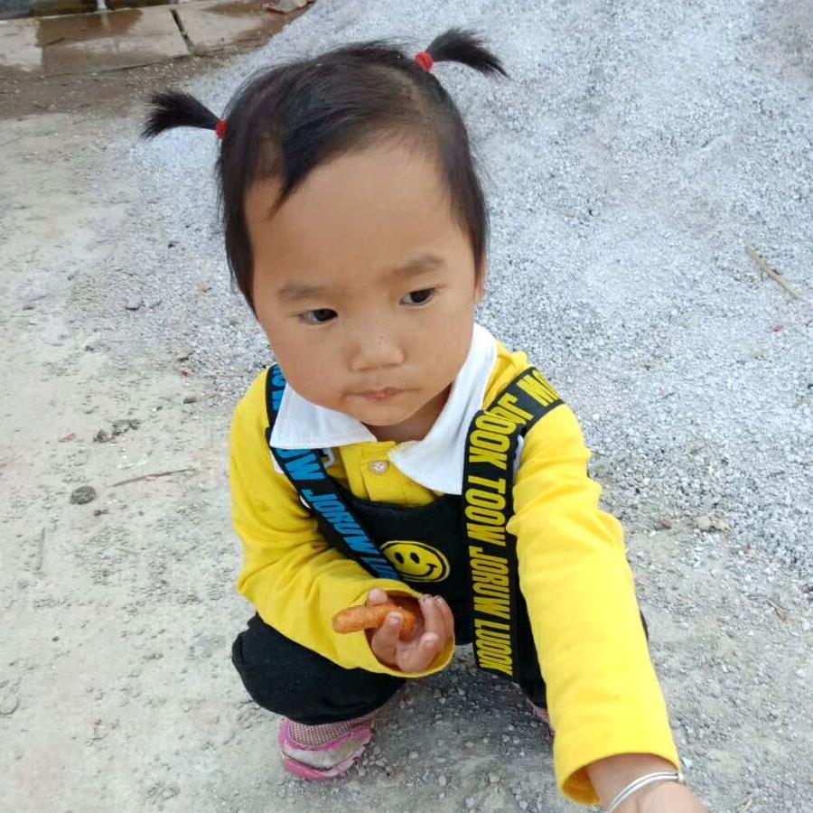 富宁刮腻子 带明电