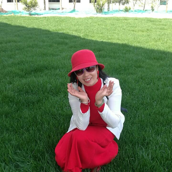 红火金凤凰（拒绝私聊）