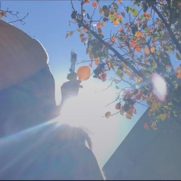 橘子就酱吃🍊