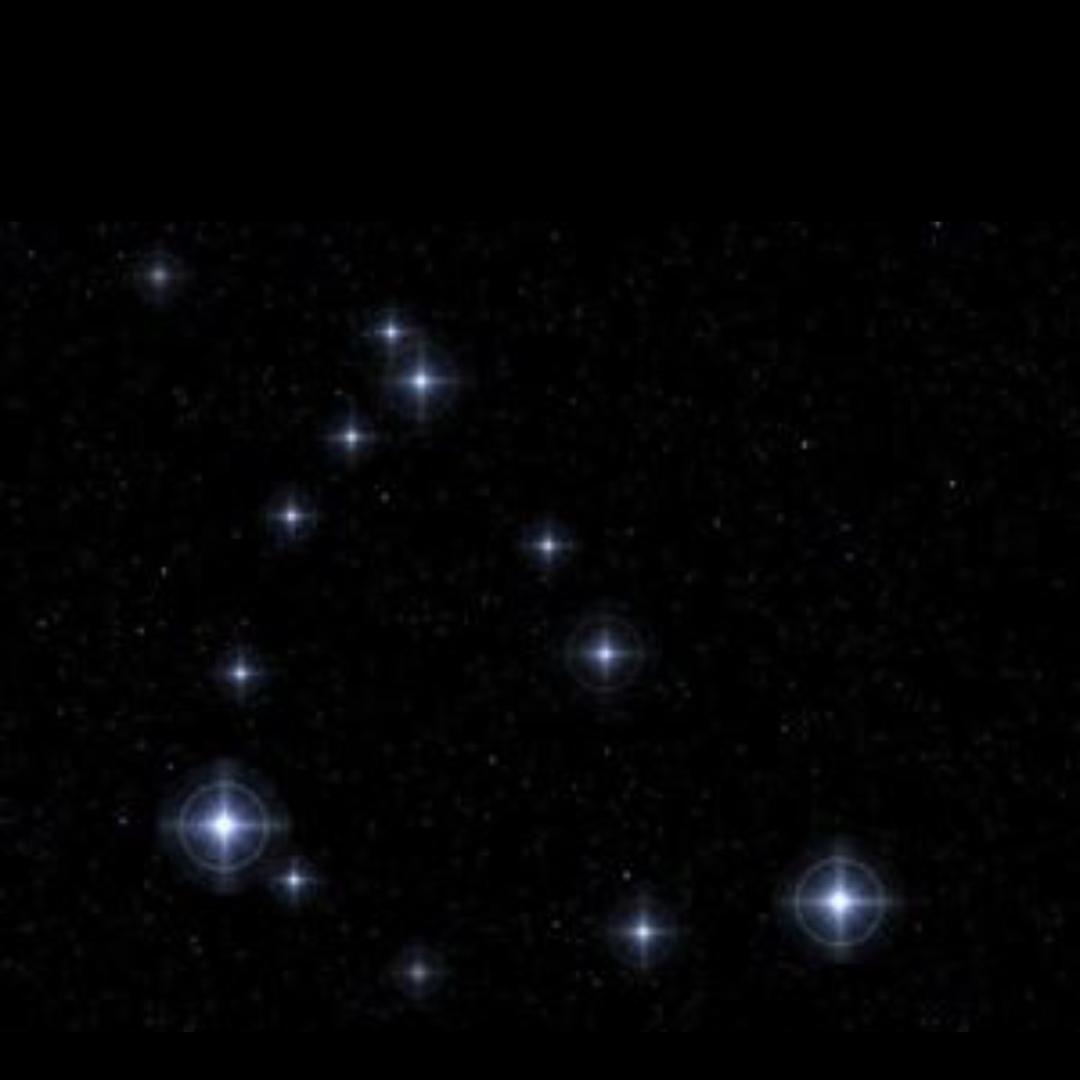 我不是一棵蔬菜