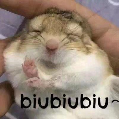 嘴角是个假学姐