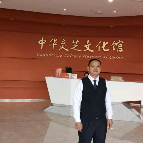 中药材玩家