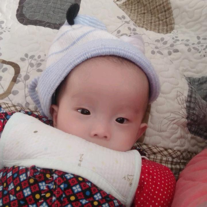 小蛋蛋