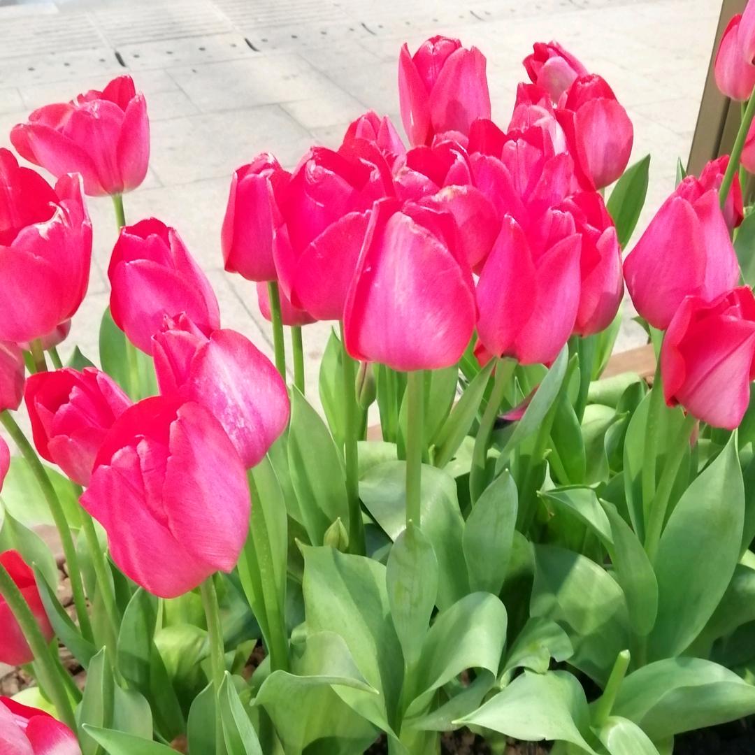 用户2296126952599，有缘吗