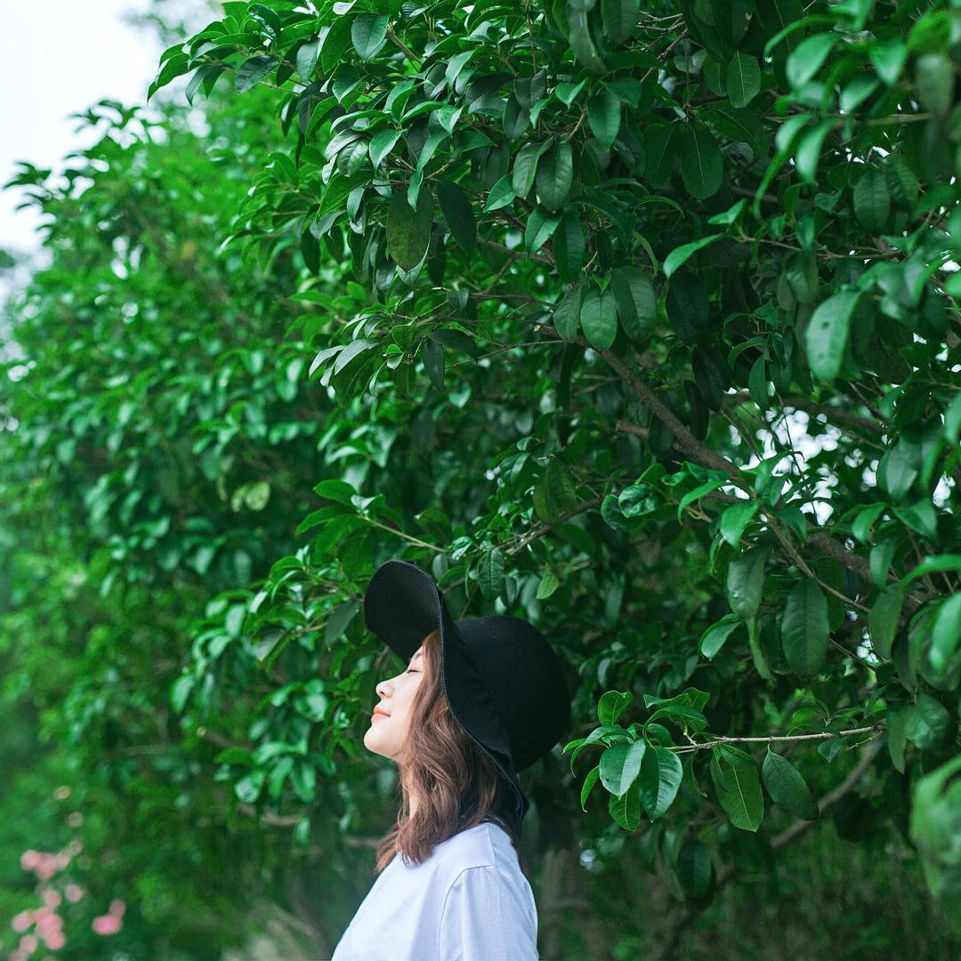 温柔一刀