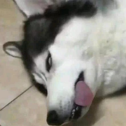 🌈战盾俱乐部🎣 《星辰》