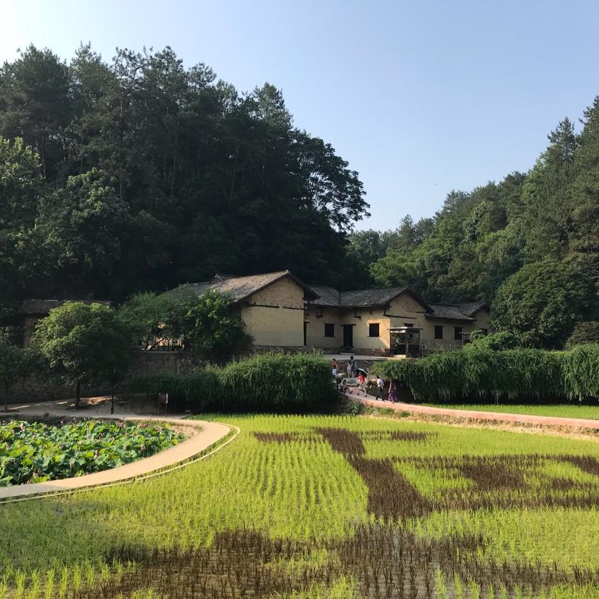 泗海
