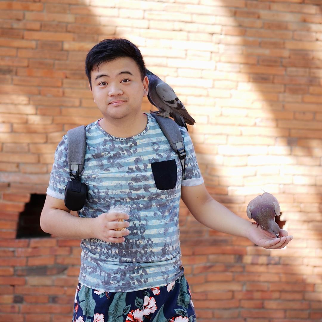 老怪老怪丁老怪