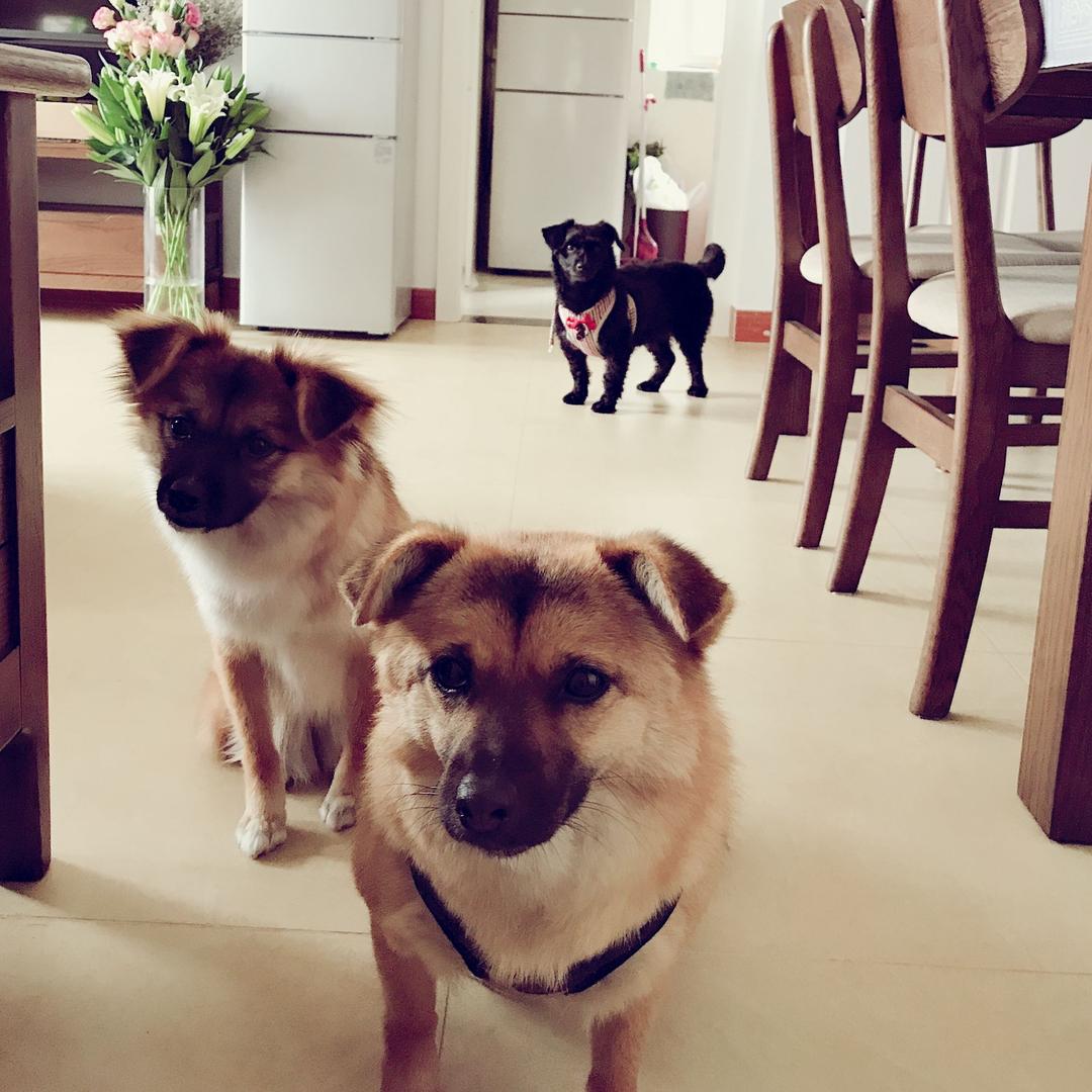涯系客家妹😏