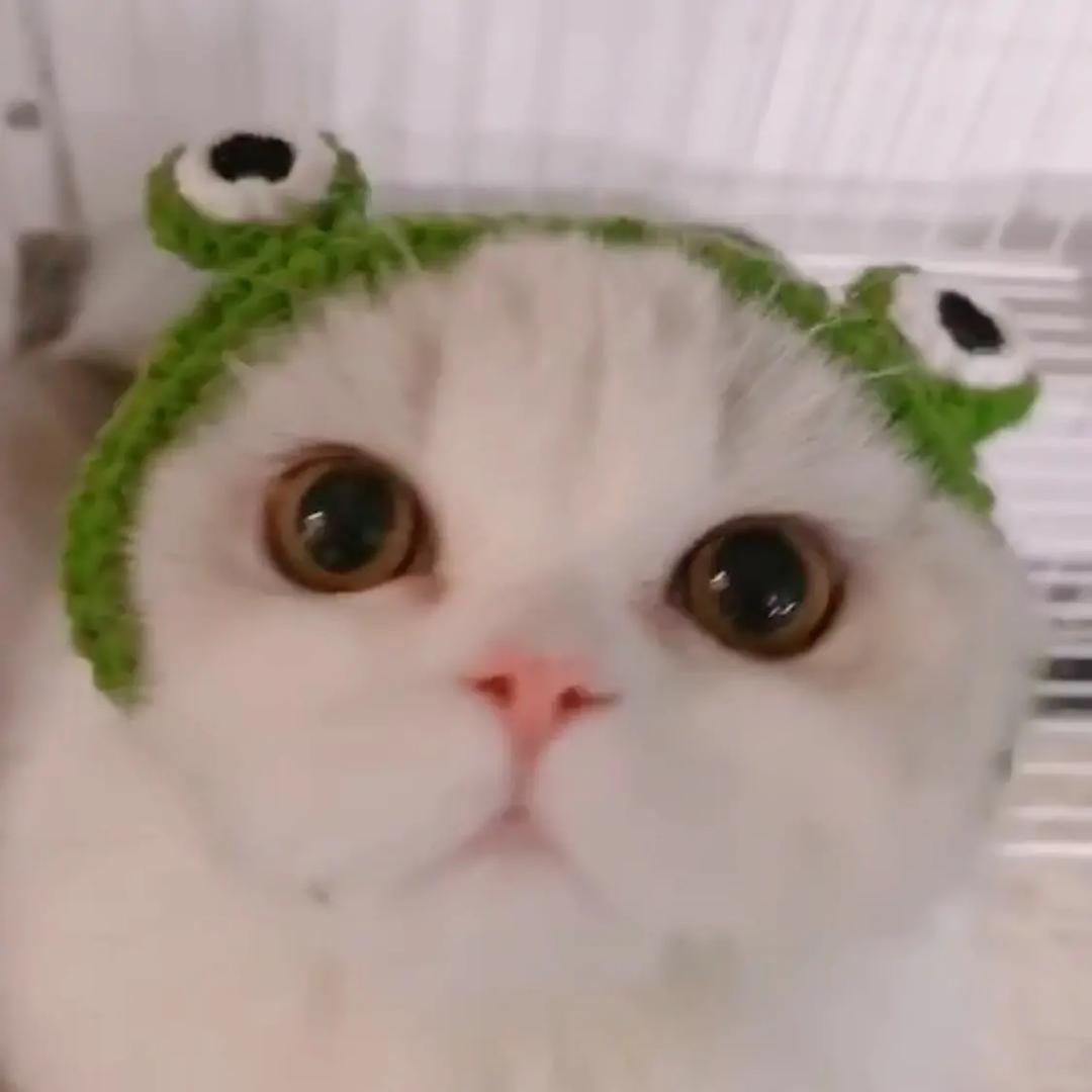 没脾气的尼莫