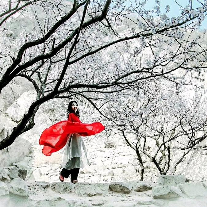 细雪飞花