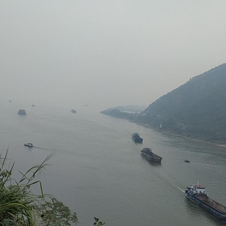 许伟
