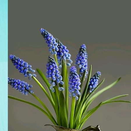 人生如戏⁶⁶⁸🍀