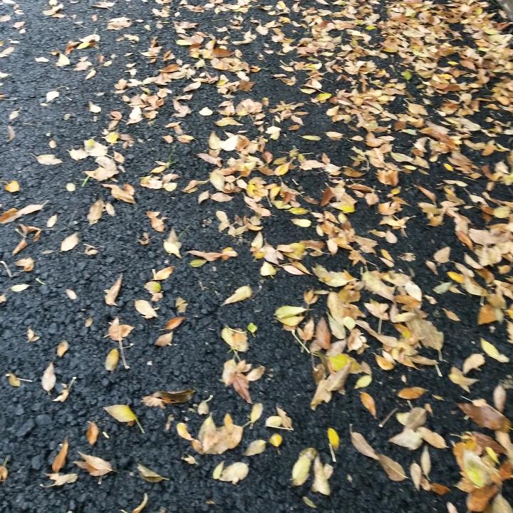 晨光