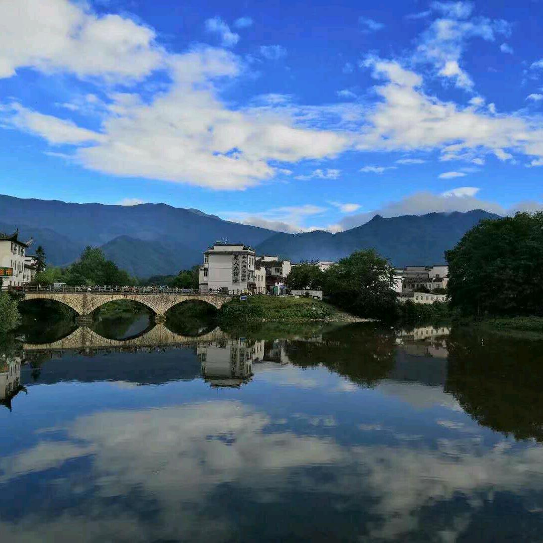 秋天的燕子