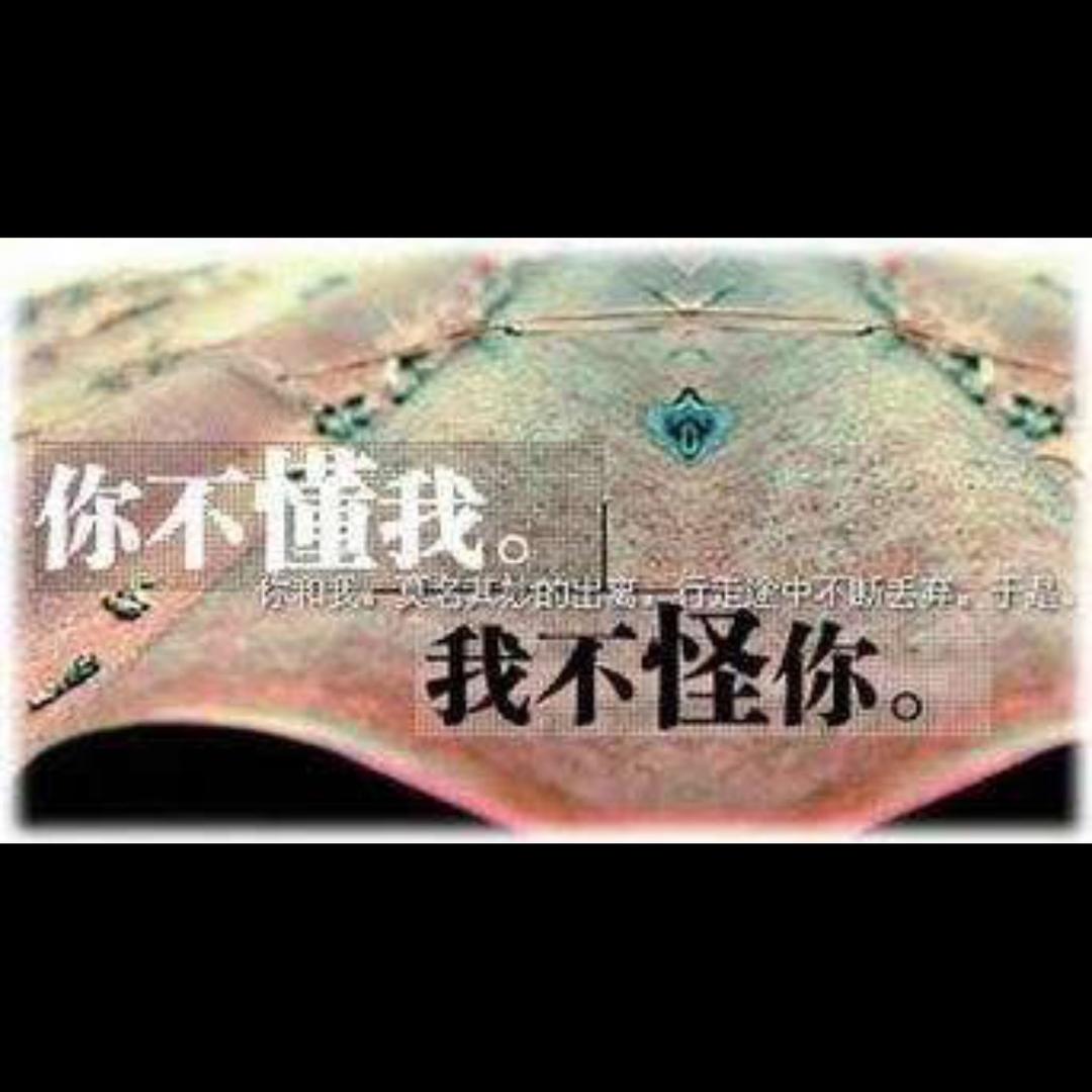 宁缺毋滥