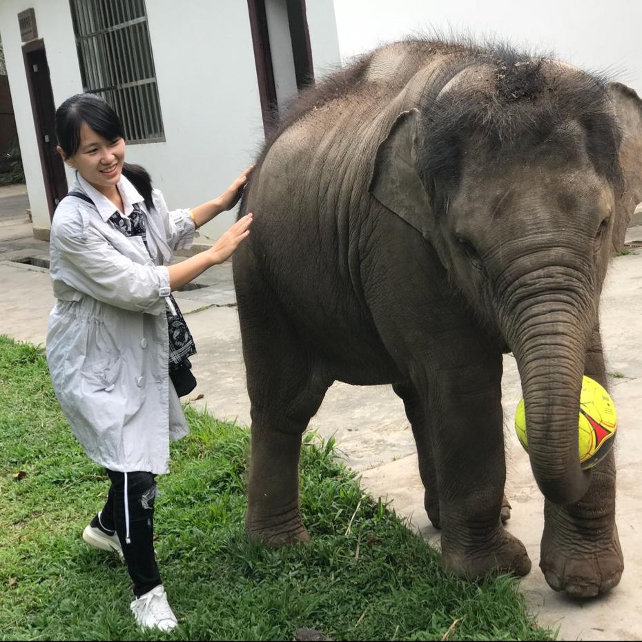 羊妞和它的小伙伴们