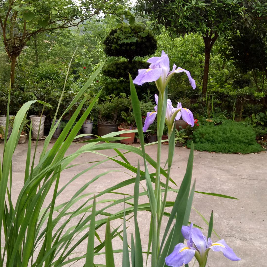 多个朋友多条路，