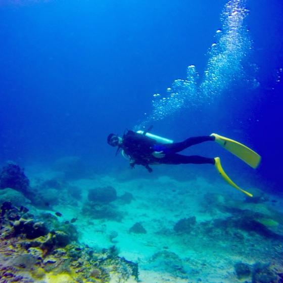 🌈🌈爱潜水滑雪的耗子🌈🌈