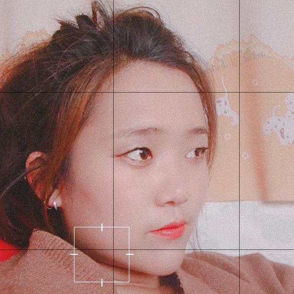 杨树下的芬芳