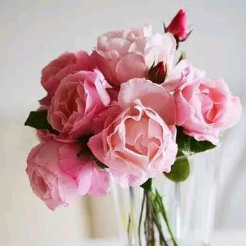 用户267349天天开心