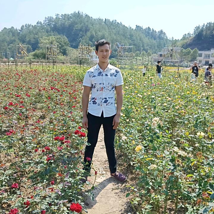小徐开炉不锈钢碳钢都可以