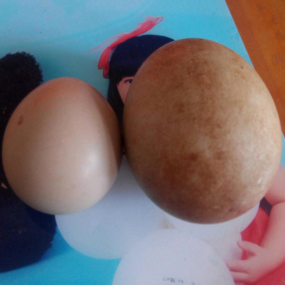 上善