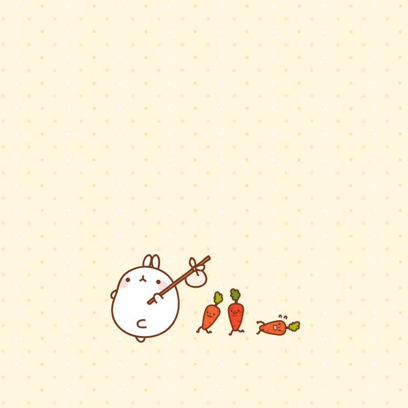 棒棒糖小花