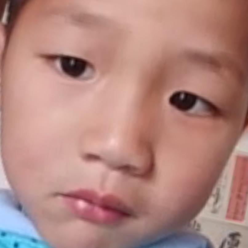 放飞自我