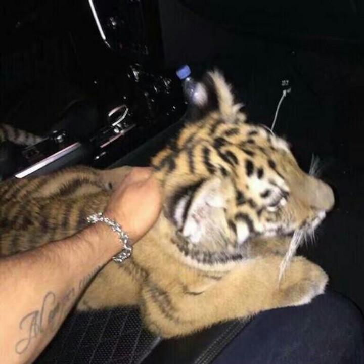 道与乐