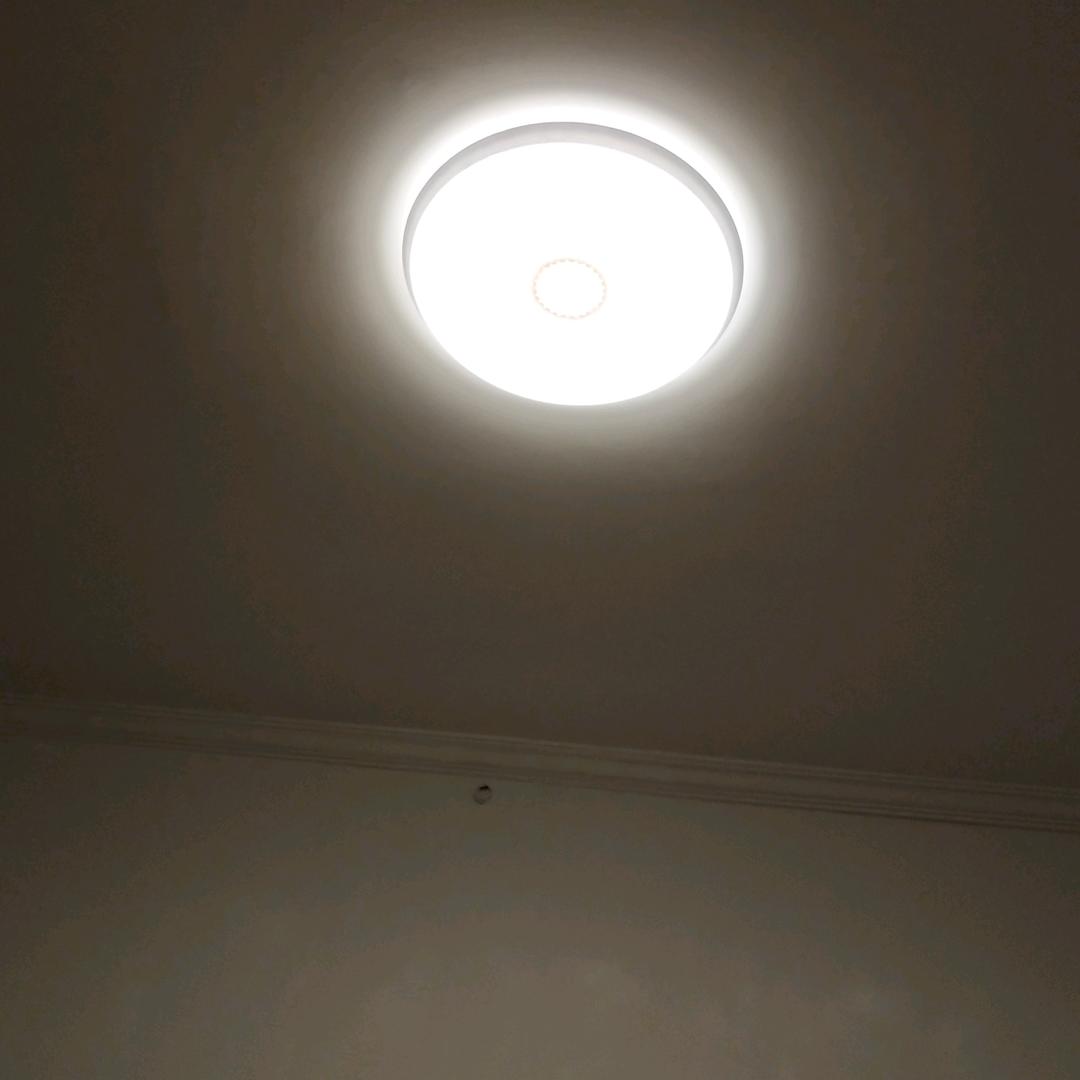 呆爽